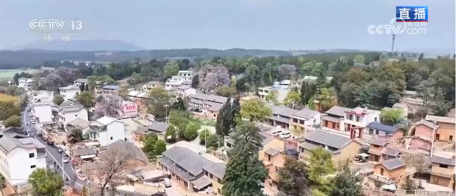 “空心村”焕新颜释放新活力政企合作推动乡村蝶变“共富村”(图1)