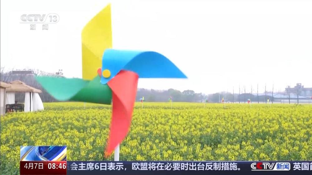 以花为媒人间四月天来山东菏泽赏牡丹(图1)