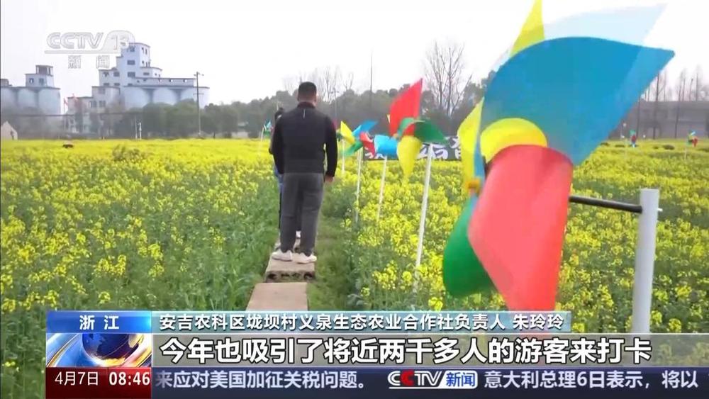 以花为媒人间四月天来山东菏泽赏牡丹(图2)