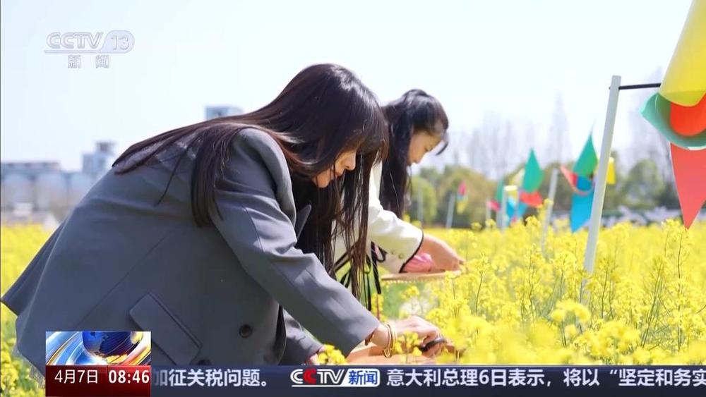 以花为媒人间四月天来山东菏泽赏牡丹(图3)