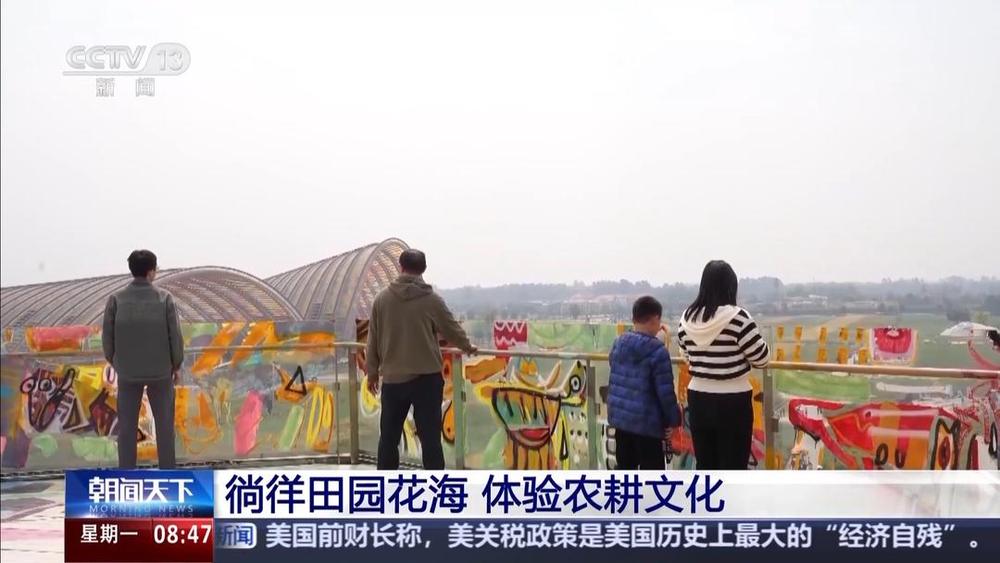 以花为媒人间四月天来山东菏泽赏牡丹(图5)
