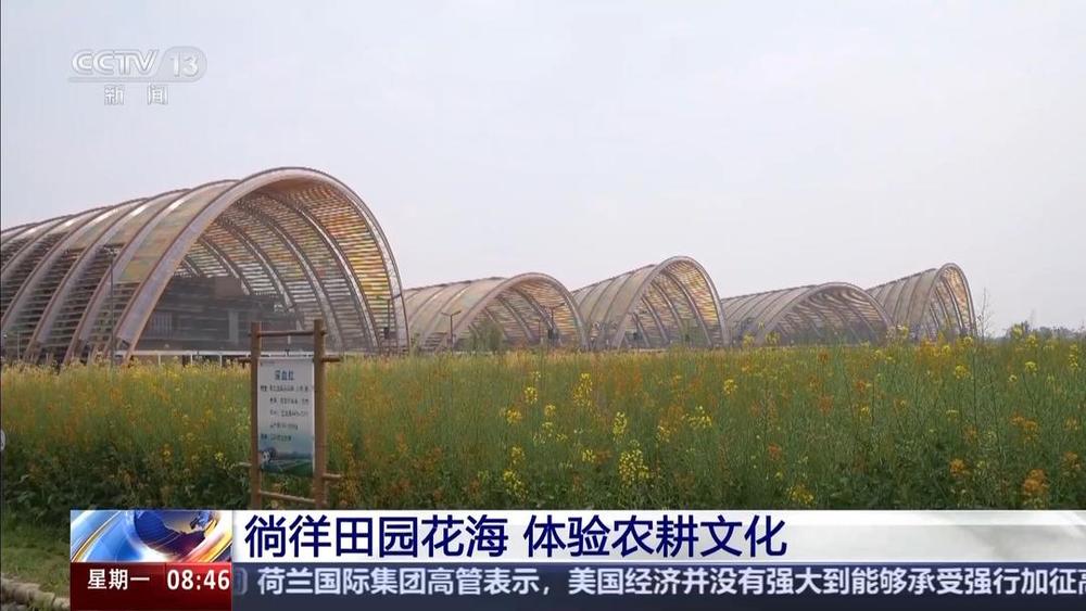 以花为媒人间四月天来山东菏泽赏牡丹(图4)