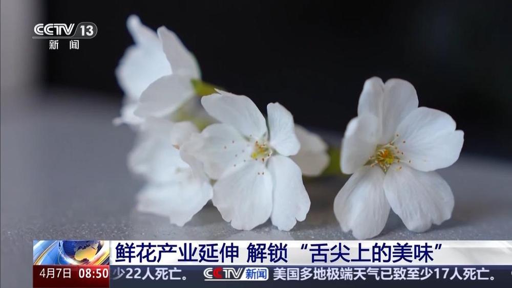以花为媒人间四月天来山东菏泽赏牡丹(图12)