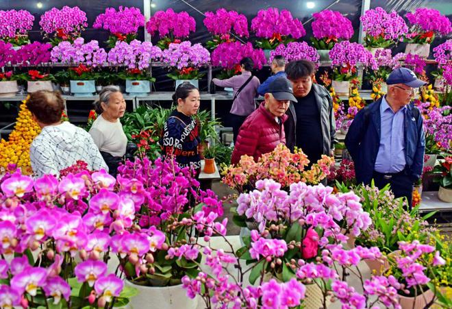 花都花市热闹来袭！(图3)