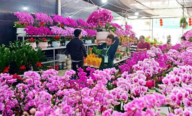 花都花市热闹来袭！(图4)