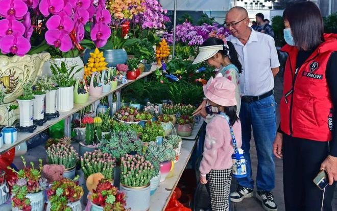 花都花市热闹来袭！(图7)