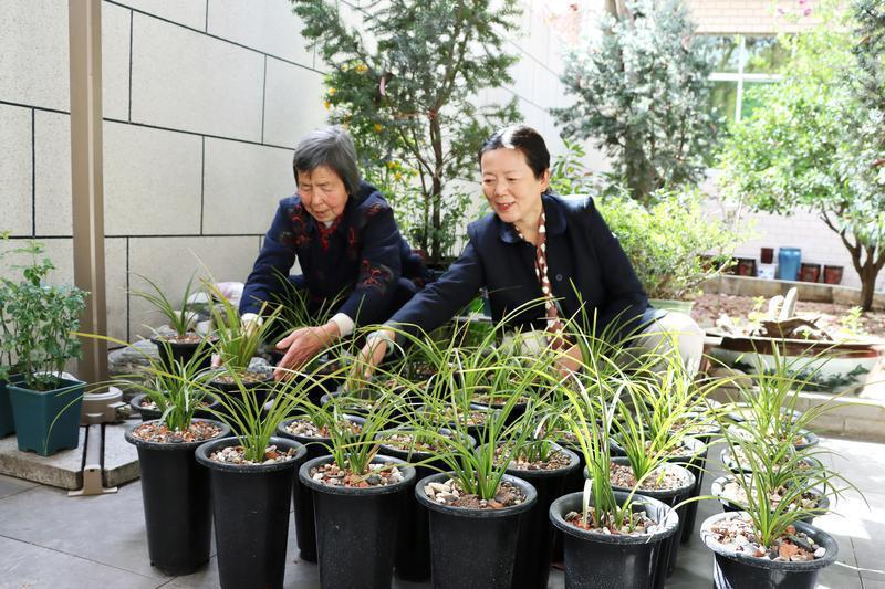 西安市长安区：兰花寄养“开出”致富新路径(图1)
