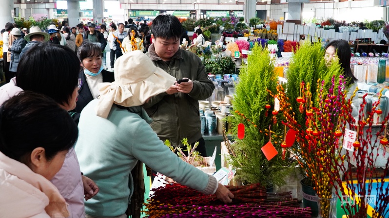 年交易量突破140亿枝解密斗南花卉多种交易模式(图1)