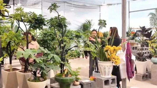 通川区：花卉市场春意浓鲜花绿植购销旺(图1)