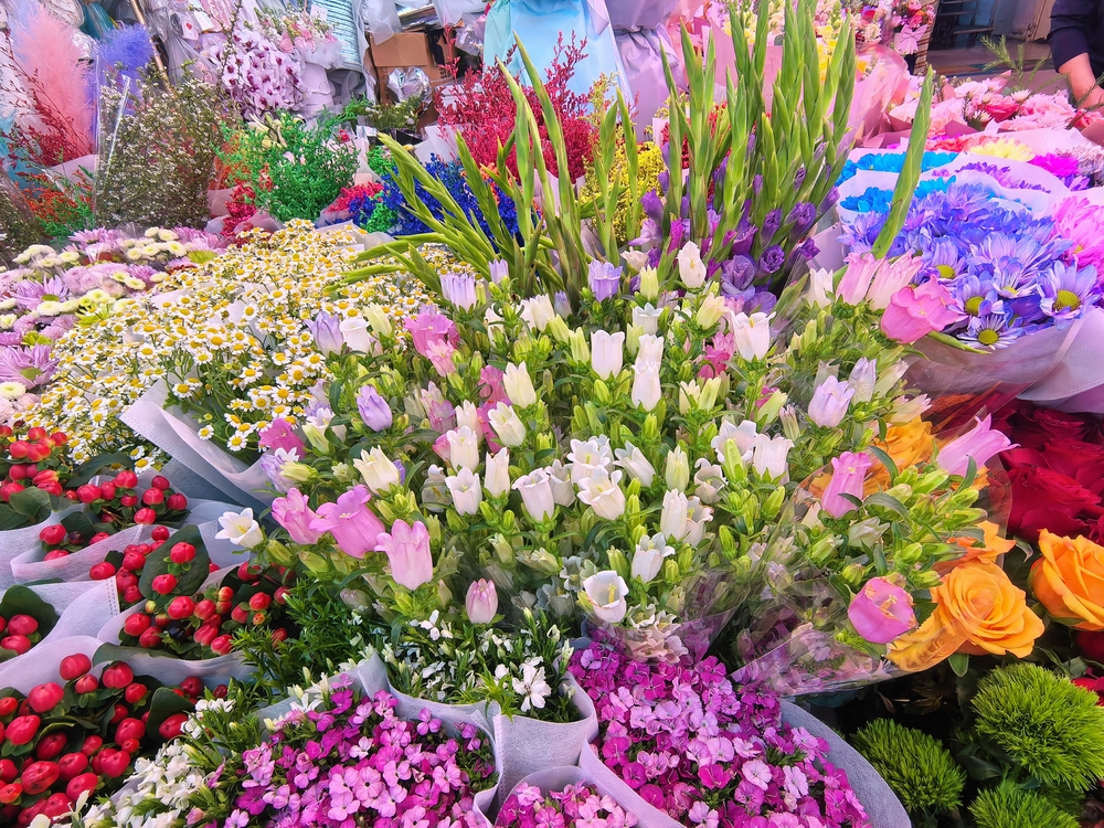 哈尔滨：“鲜花经济”激发消费新活力(图2)