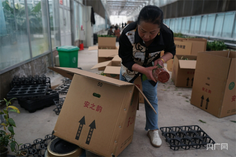 高质量发展看中国一盆鲜花绽放亿元“美丽经济”(图2)