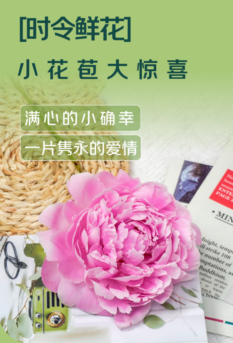 京东七鲜“繁花计划”启动通过产地直采+包销重塑鲜花即时零售新生态(图1)