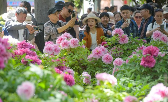 财经聚焦｜“鲜花+”引领消费新风尚(图2)