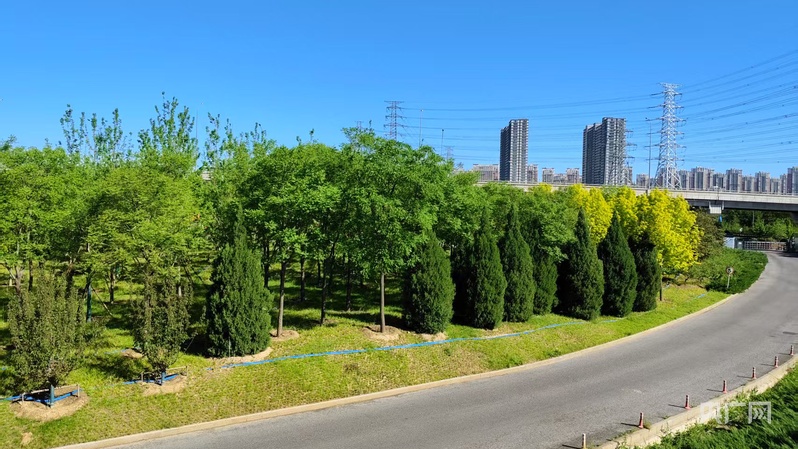 北京朝阳区环境建设项目初现成效(图4)