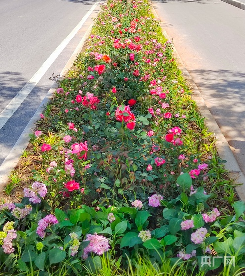 北京朝阳区环境建设项目初现成效(图3)