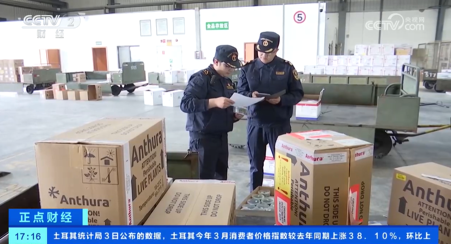 花卉消费市场崛起花卉种苗种球进口迎来高峰期(图4)