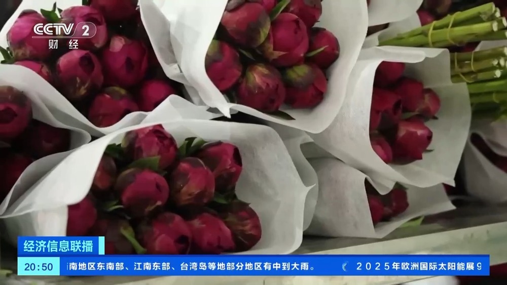 康乃馨、芍药热卖母亲节多地鲜花销售火爆(图4)