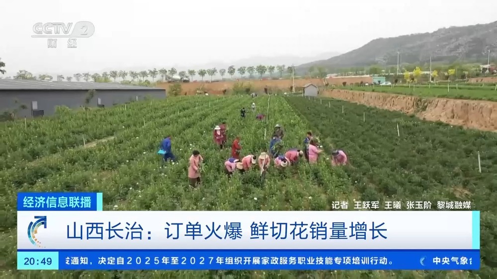 康乃馨、芍药热卖母亲节多地鲜花销售火爆(图3)