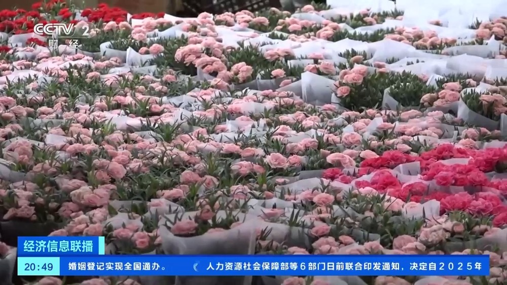 康乃馨、芍药热卖母亲节多地鲜花销售火爆(图2)