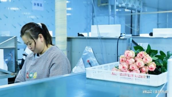 富滇银行昆明晋宁支行助力“云花”四季芳香(图4)