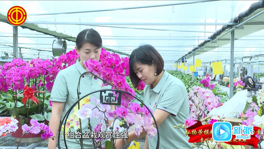 花农变“花匠”壮大“花产业”——潍坊青州市建强工匠培育链赋能优势产业高质量发展(图1)