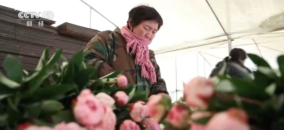 美丽经济“一路生花”绽放勃勃生机添“彩”千亿级消费新蓝海(图2)