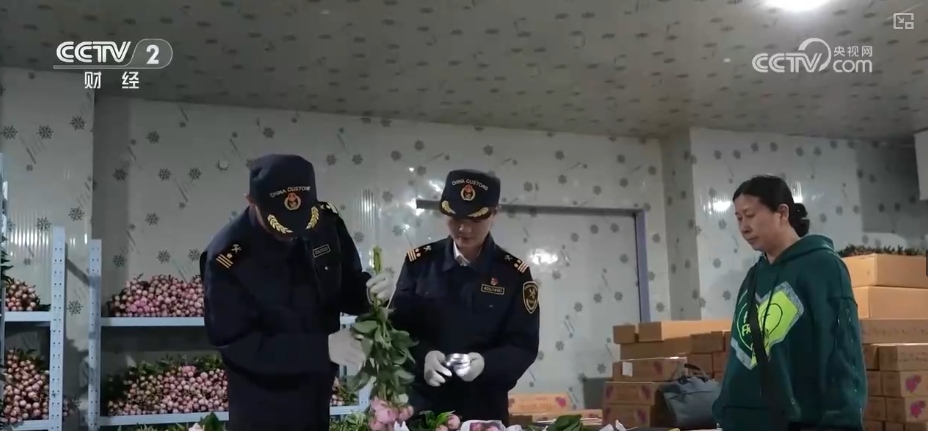 美丽经济“一路生花”绽放勃勃生机添“彩”千亿级消费新蓝海(图4)