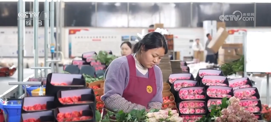 “美丽产业”→“幸福产业”“花样”经济别样绽放(图6)