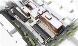 花卉市消费市场潜力如何？花卉行业发展现状趋势分析(图6)