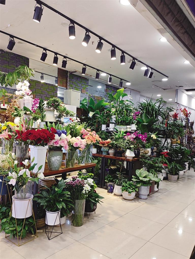 首府花卉市场“春意浓”(图4)