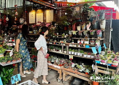 年轻人养花种草玩出新花样(图1)