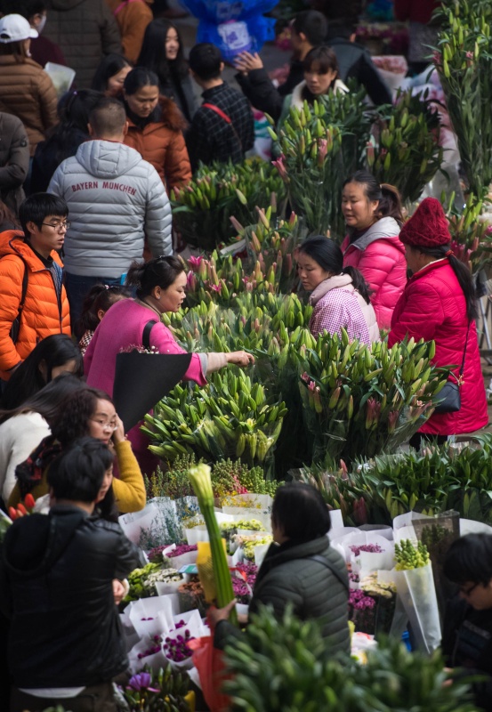 云南大批鲜花上市花卉市场迎交易高峰(图3)