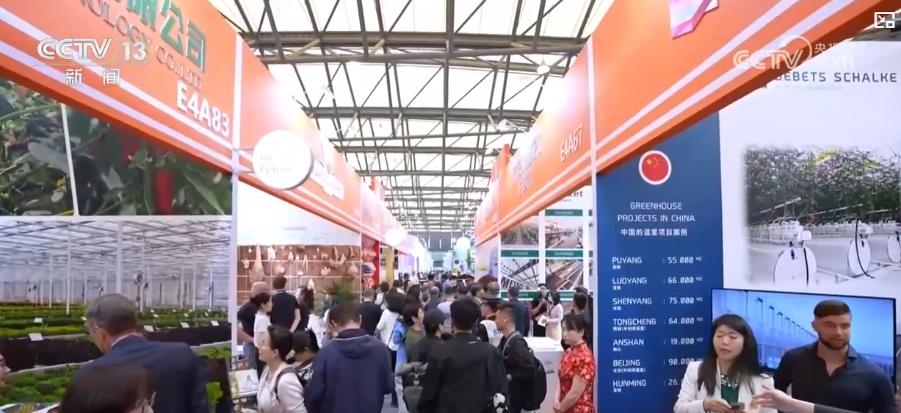 “鲜花经济”一路生花!我国花卉海外贸易持续增长 产业竞争力显著增强(图1)