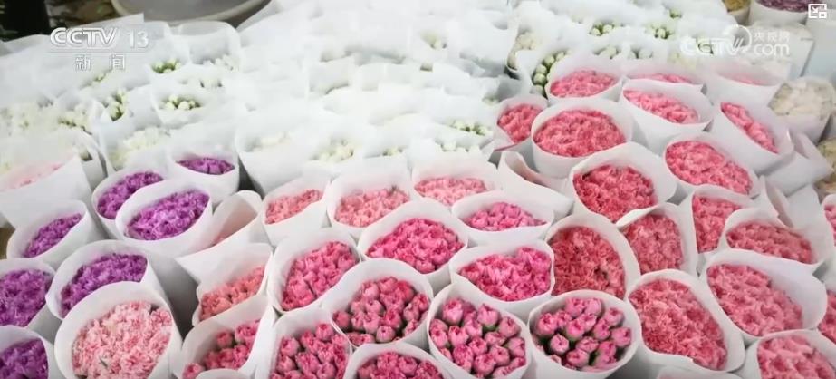 “鲜花经济”一路生花!我国花卉海外贸易持续增长 产业竞争力显著增强(图2)