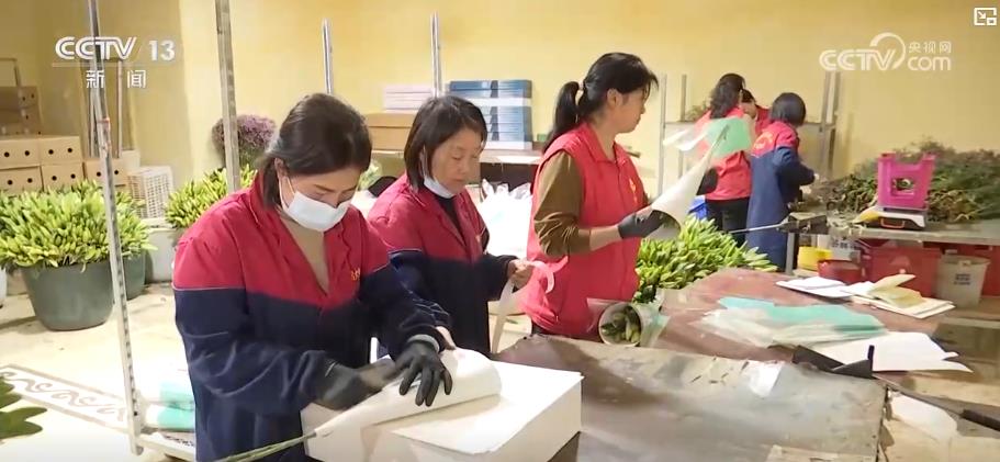 “鲜花经济”一路生花!我国花卉海外贸易持续增长 产业竞争力显著增强(图5)
