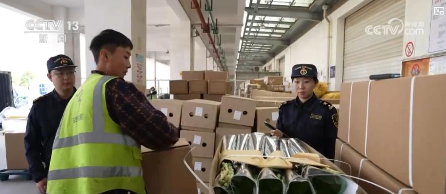 “鲜花经济”一路生花!我国花卉海外贸易持续增长 产业竞争力显著增强(图6)
