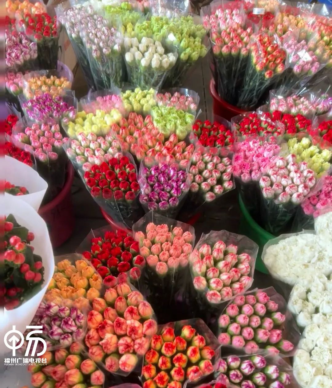 火爆！价格大涨！妥妥C位！(图3)
