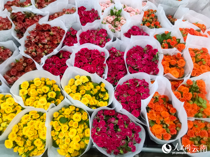 品牌云南｜从“一枝花”到“亿枝花”(图6)