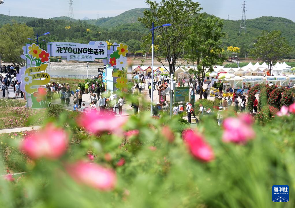 第九届国际月季大会在北京举办(图2)