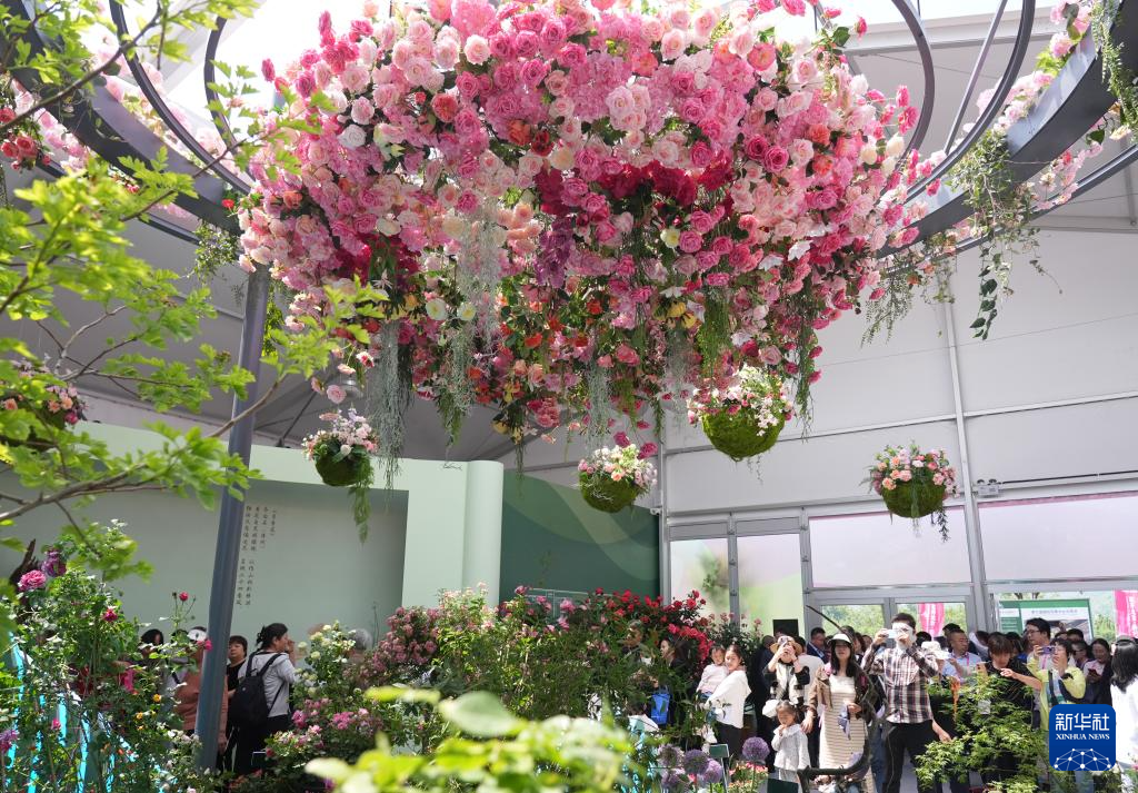 第九届国际月季大会在北京举办(图6)