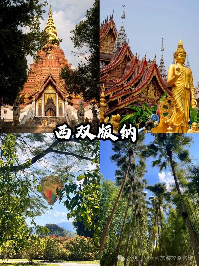 云南6日跟团游报价多少？家庭暑假攻略在此｜昆明+丽江1300(图3)