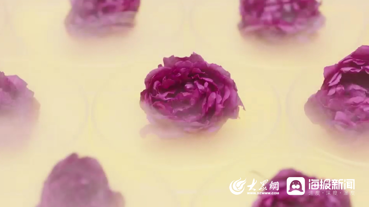 粮满仓·好丰光丨新农人：“85后”玫瑰匠人让千年玫瑰绽放科技之花(图1)