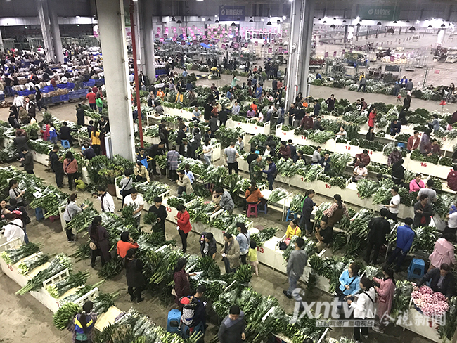 【共舞长江经济带】夜访昆明斗南花卉市场全国70%鲜切花来自这里(图1)