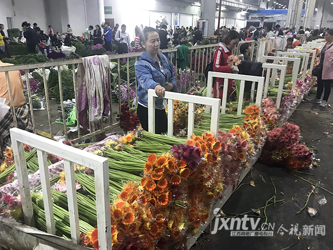 【共舞长江经济带】夜访昆明斗南花卉市场全国70%鲜切花来自这里(图5)