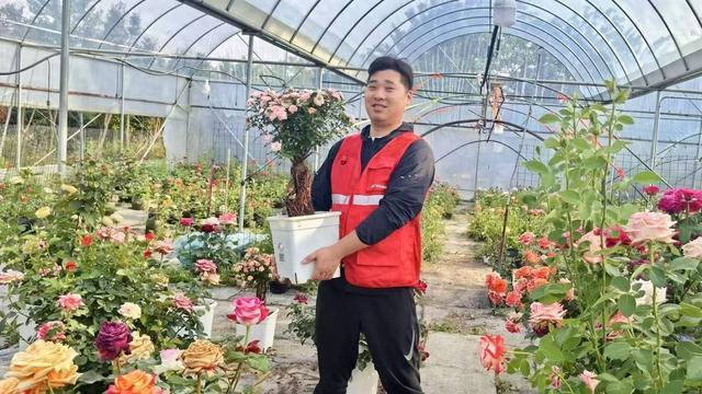 母亲节“花”式爆单极兔助力沭阳花卉市场“鲜”发制人(图1)