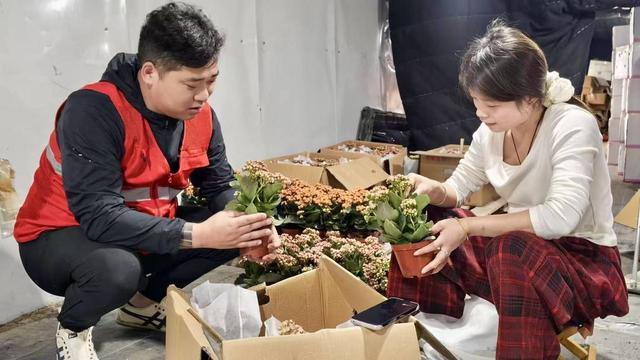 母亲节“花”式爆单极兔助力沭阳花卉市场“鲜”发制人(图2)