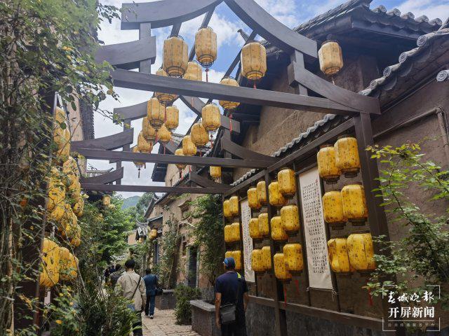 楚雄姚安举行旅居推介会：生态赋能打造“星空+花卉”旅居品牌(图1)