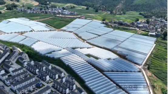 云南花御史农业科技公司带动武定乌东德电站移民搬迁最大安置点金沙社区群众绽放幸福生活(图1)