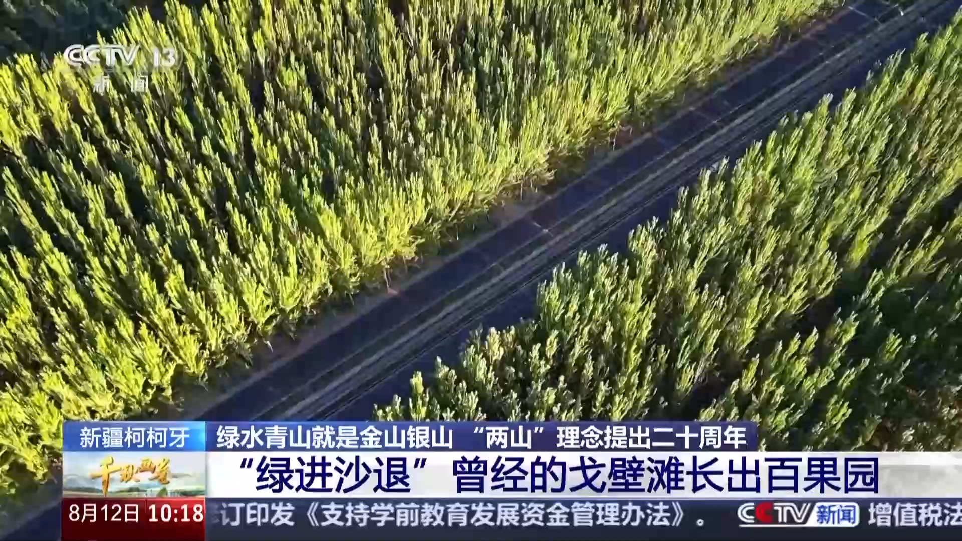 一片荒漠能换来几个苹果？解码中国经济新算法(图1)
