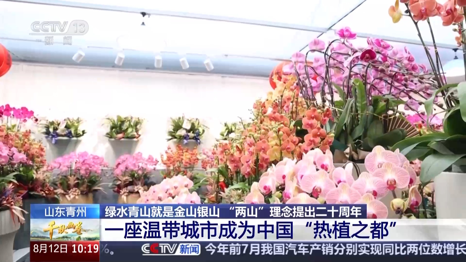 一片荒漠能换来几个苹果？解码中国经济新算法(图2)